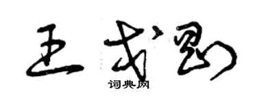 曾慶福王戈剛草書個性簽名怎么寫