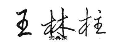 駱恆光王林柱行書個性簽名怎么寫
