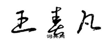 曾慶福王春凡草書個性簽名怎么寫