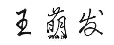 駱恆光王萌發行書個性簽名怎么寫