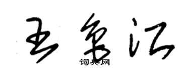朱錫榮王魯江草書個性簽名怎么寫