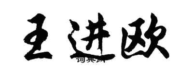 胡問遂王進歐行書個性簽名怎么寫