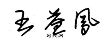 朱錫榮王益鳳草書個性簽名怎么寫