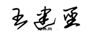 朱錫榮王建聖草書個性簽名怎么寫