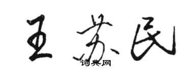 駱恆光王蘇民行書個性簽名怎么寫