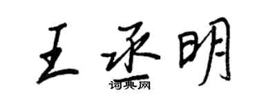 王正良王丞明行書個性簽名怎么寫