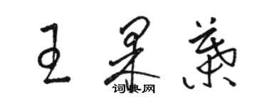 駱恆光王果葉草書個性簽名怎么寫