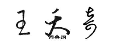 駱恆光王夭奇草書個性簽名怎么寫