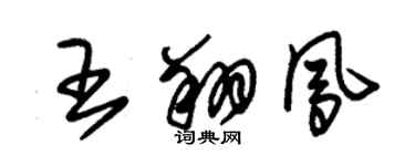 朱錫榮王翔鳳草書個性簽名怎么寫