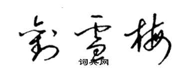 梁錦英劉雪梅草書個性簽名怎么寫