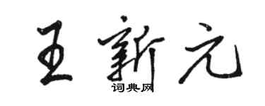 駱恆光王新元行書個性簽名怎么寫