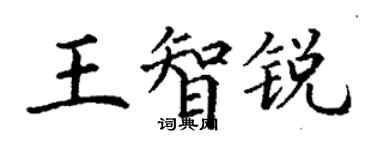 丁謙王智銳楷書個性簽名怎么寫