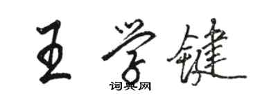 駱恆光王學鍵行書個性簽名怎么寫