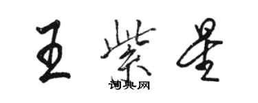 駱恆光王紫星行書個性簽名怎么寫