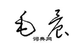 梁錦英毛晨草書個性簽名怎么寫