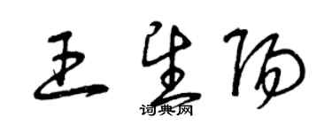 曾慶福王望陽草書個性簽名怎么寫