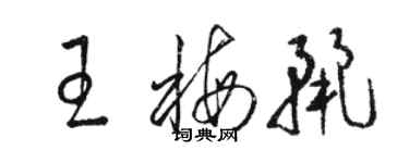 駱恆光王梅麗草書個性簽名怎么寫