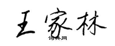 王正良王家林行書個性簽名怎么寫