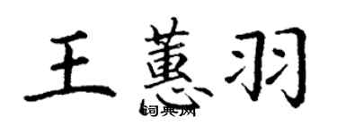 丁謙王蕙羽楷書個性簽名怎么寫