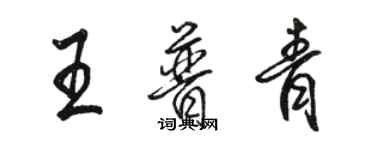 駱恆光王普青行書個性簽名怎么寫