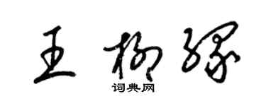 梁錦英王柳緣草書個性簽名怎么寫