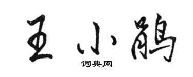 駱恆光王小鵑行書個性簽名怎么寫