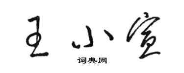 駱恆光王小宣草書個性簽名怎么寫
