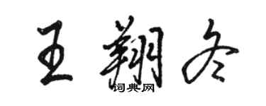 駱恆光王翔冬行書個性簽名怎么寫