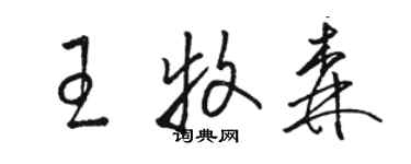 駱恆光王牧森草書個性簽名怎么寫