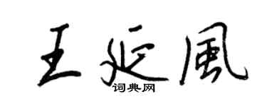 王正良王延風行書個性簽名怎么寫
