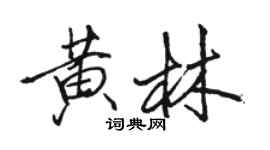 駱恆光黃林行書個性簽名怎么寫