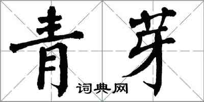 翁闓運青芽楷書怎么寫