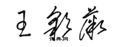 駱恆光王彩薇草書個性簽名怎么寫