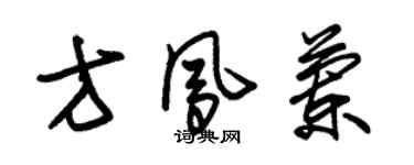 朱錫榮方鳳蘭草書個性簽名怎么寫