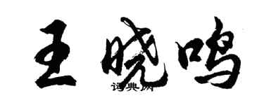 胡問遂王曉鳴行書個性簽名怎么寫