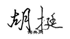 駱恆光胡挺行書個性簽名怎么寫