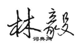駱恆光林毅行書個性簽名怎么寫