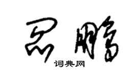 朱錫榮閻鵬草書個性簽名怎么寫