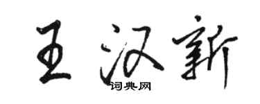 駱恆光王漢新行書個性簽名怎么寫
