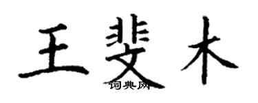 丁謙王斐木楷書個性簽名怎么寫