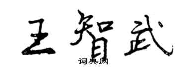 曾慶福王智武行書個性簽名怎么寫