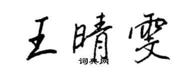 王正良王晴雯行書個性簽名怎么寫