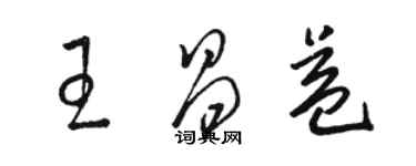 駱恆光王昌益草書個性簽名怎么寫