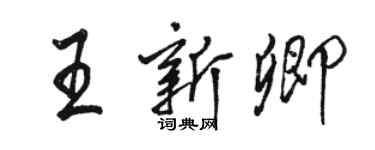 駱恆光王新卿行書個性簽名怎么寫