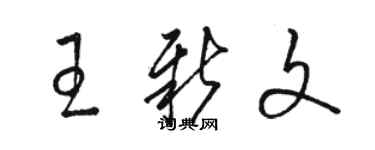 駱恆光王新文草書個性簽名怎么寫