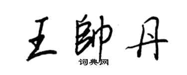 王正良王帥丹行書個性簽名怎么寫