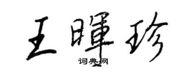 王正良王暉珍行書個性簽名怎么寫