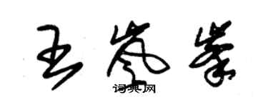 朱錫榮王嵐峰草書個性簽名怎么寫