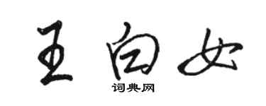 駱恆光王白女行書個性簽名怎么寫