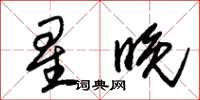 朱錫榮星晚草書怎么寫